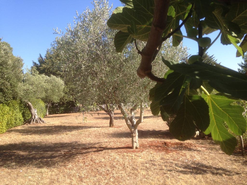 Trullo Picchiagiuda Villa ออสตูนี ภายนอก รูปภาพ