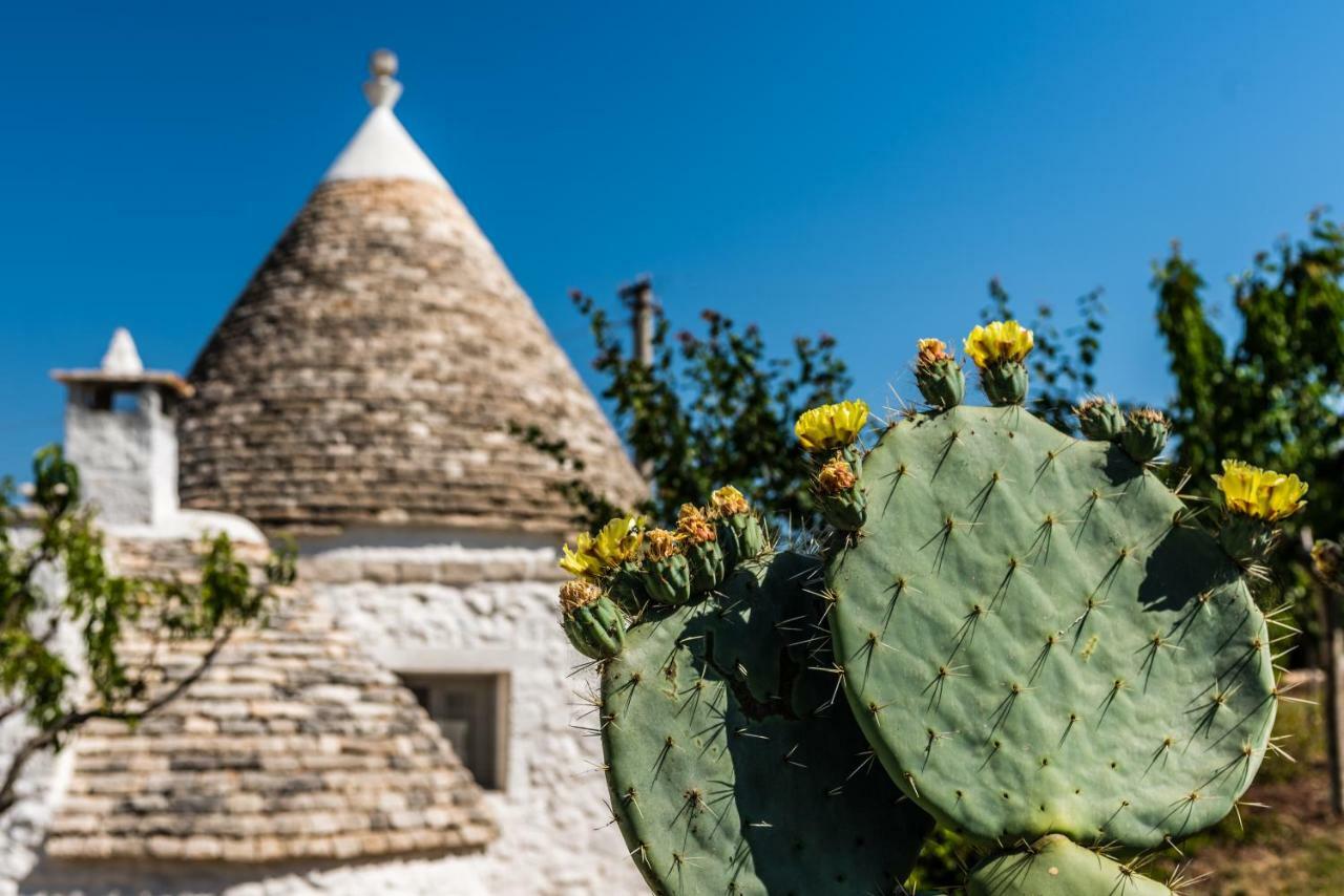 Trullo Picchiagiuda Villa ออสตูนี ภายนอก รูปภาพ